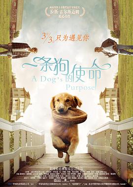 福瑞涩
